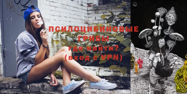 бутират Пересвет