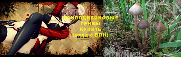 MESCALINE Покачи
