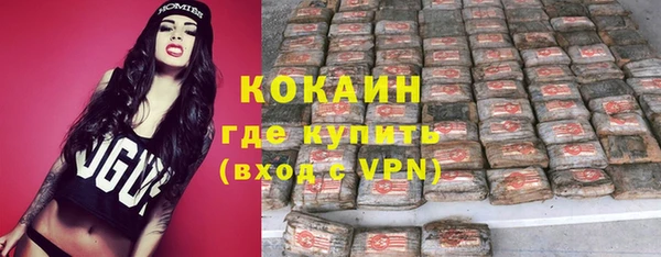 прущие грибы Вуктыл