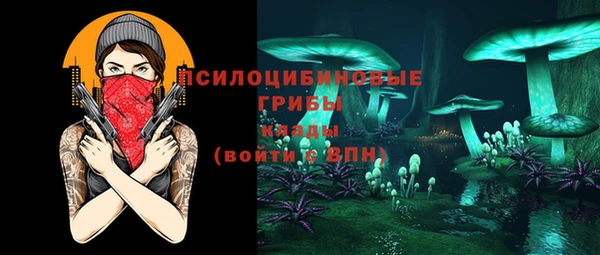 бутират Пересвет