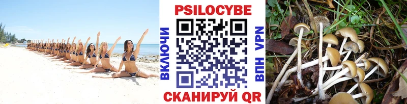 Галлюциногенные грибы прущие грибы  сколько стоит  Торжок 
