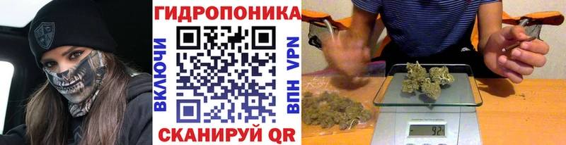 Конопля конопля  кракен вход  Торжок  сколько стоит 